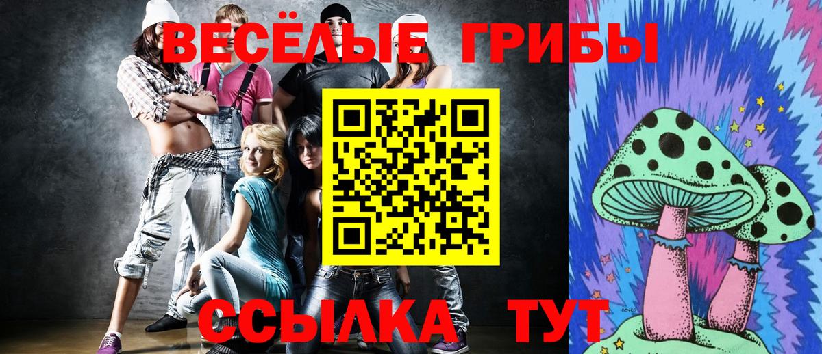 Галлюциногенные грибы Cubensis Урюпинск