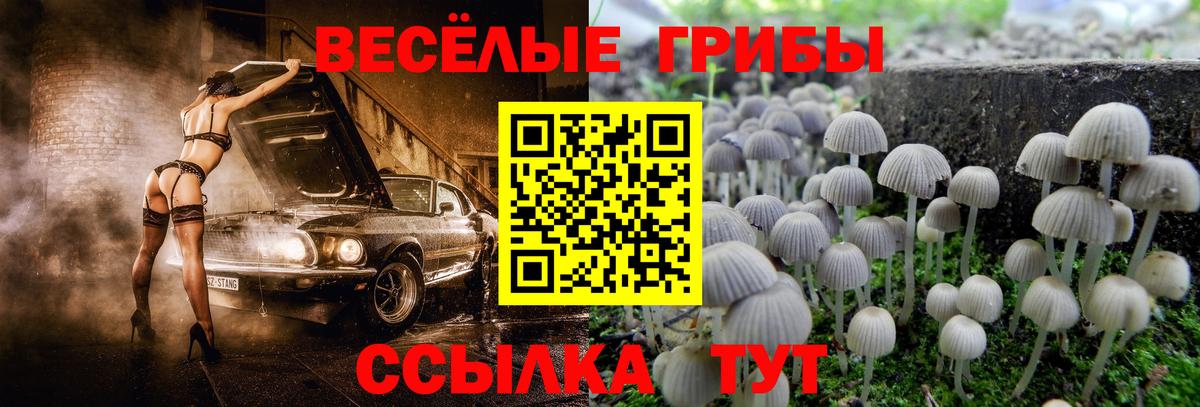 Бошки Шишки Урюпинск